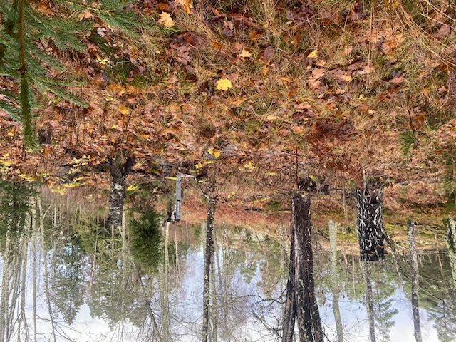 Fil:Dalsland-Ånimskog Kerstan 1.jpg