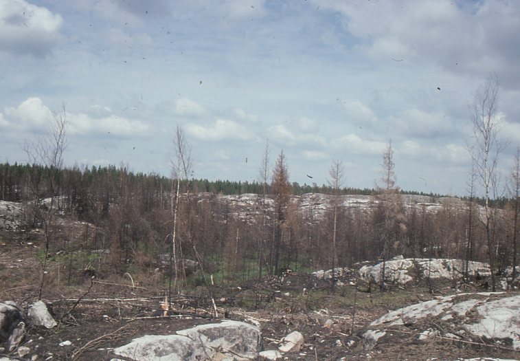 Fil:Västergötland-Väne-Åsaka-210220 014.jpg