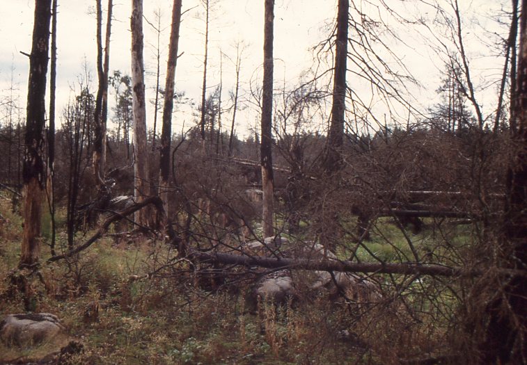 Fil:Västergötland-Väne-Åsaka-210220 046.jpg