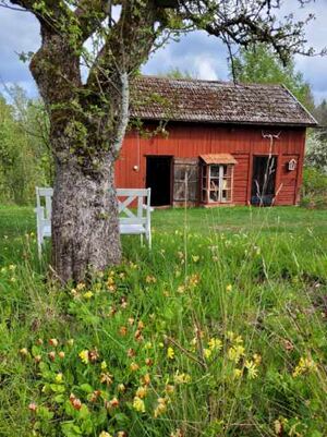 Dalsland-Ånimskog-Aten 20260510 153017.jpg