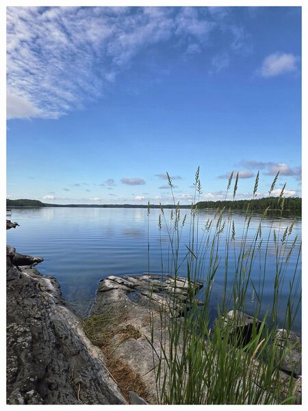 Fil:Dalsland-Ånimskog- UtsiktÖverÅnimmen.jpg