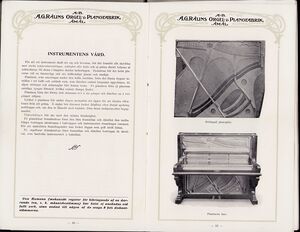 Dalsland-Ånimskog-Rålins-kat. sid 10-11.jpg