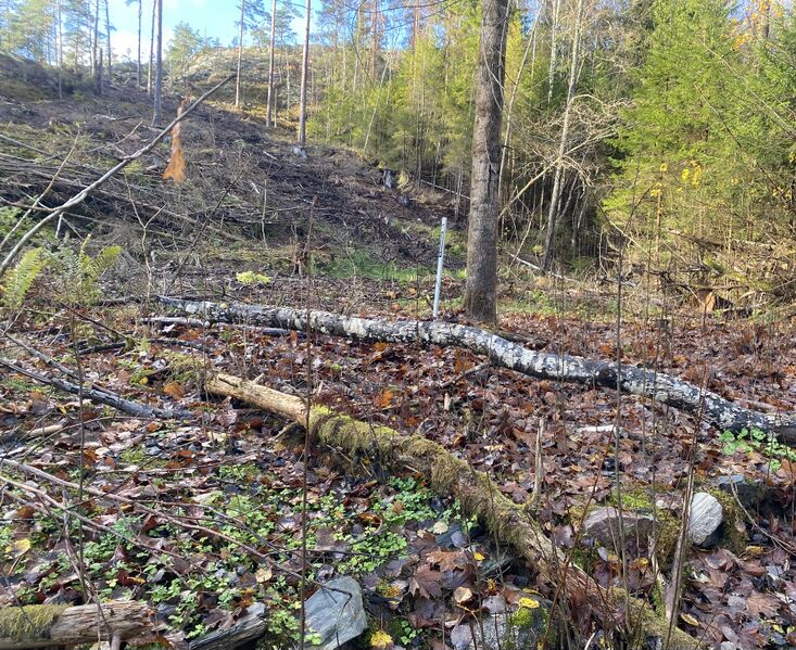 Fil:Dalsland-Ånimskog-Kerstan III ,nr2.jpg
