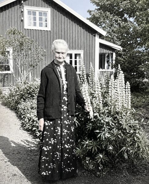 Fil:Dalsland-Mo-Svingen (Kroken).jpg