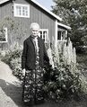 Dalsland-Mo-Svingen (Kroken)