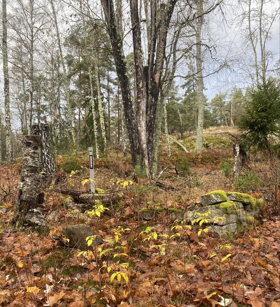 Fil:Dalsland-Ånimskog-Kerstan I.jpg