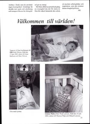 Dalsland-Ånimskog-Byabladet-nr-66-2003 21.jpg