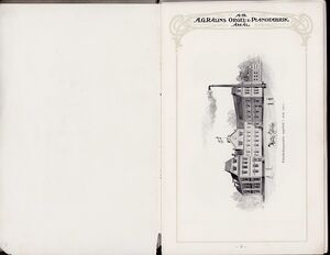 Dalsland-Ånimskog-Rålins-kat. sid 2-3.jpg