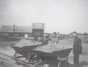 Dalsland-ånimskog-backen(salebol)7.jpg