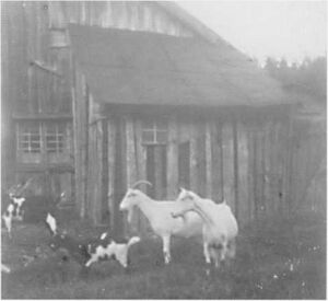 Dalsland-ånimskog-sågmyren2.jpg