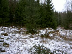 Östergötland-Åsbo-Åstugan 2 (Lindhult) Husgrund Ladugård.jpg