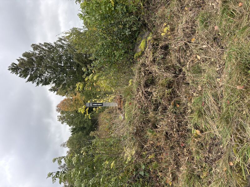 Fil:Dalsland-Ånimskog-Sunnetorpt m.ny stolpe.jpg