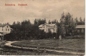 Vykort. Text: "Dalsland. Ånimskog". Vykortet ägs av Hans-Jürgen Köchling.