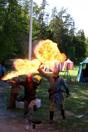 Dalaborgsdagarna 2006-4.jpg