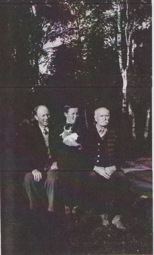 Dalsland-Ånimskog-Falkeborg2.png