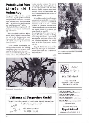 Dalsland-Ånimskog-Byabladet-nr-82-2007 10.jpg