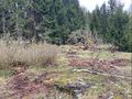 Dalsland-Ånimskog-Huggängen