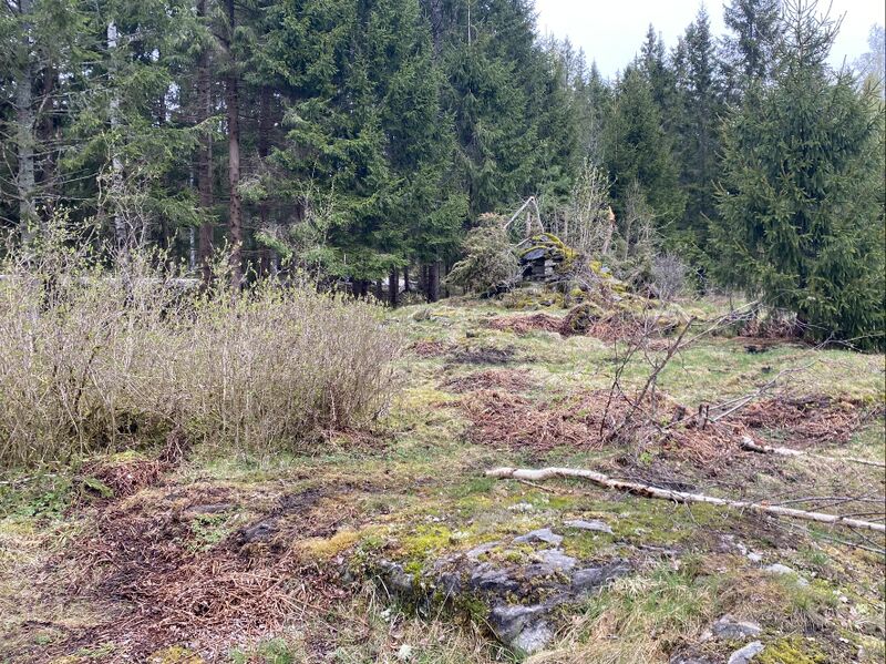 Fil:Dalsland-Ånimskog-Huggängen.jpg