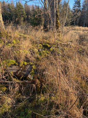 Inventering av torpet Gärdet i Nedre Kilane, Ånimskog i dec 2024.