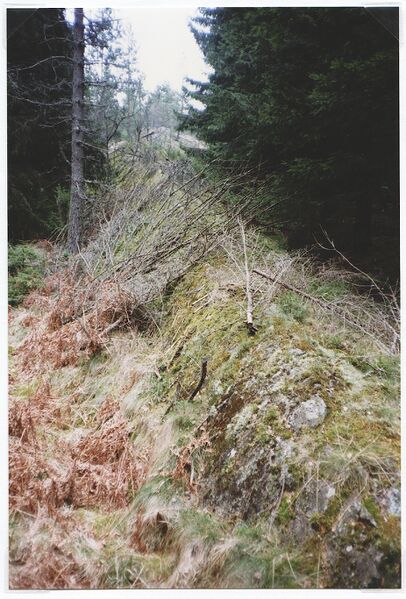 Fil:Västergötland-Väne-Åsaka-ÅBHF 06 040 02.jpg