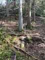 Dalsland-Ånimskog-SödraKneckdänga