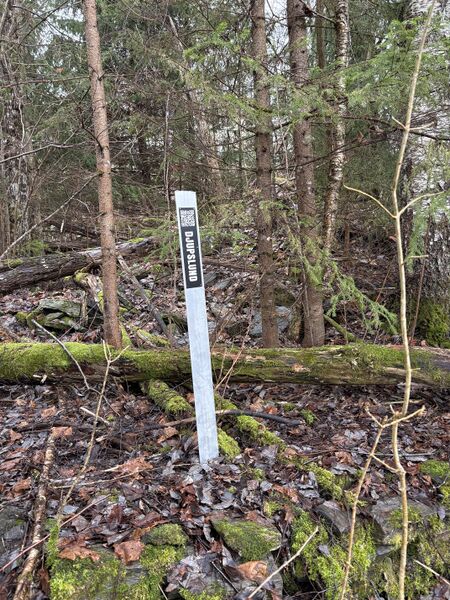 Fil:Dalsland-Ånimskog-Djupslund.jpeg