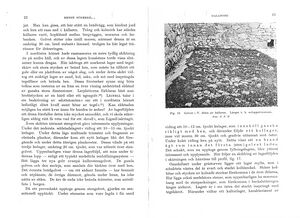 Dalsland-Bolstad-Dalaborg-Hembygden1940-11.jpg