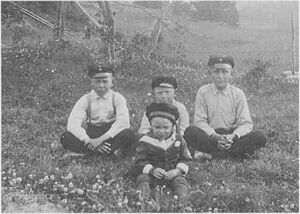 Dalsland-ånimskog-känsbykasen4.jpg