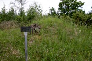 Småland-Vena-Gröndal Silverdalen 2026.jpg
