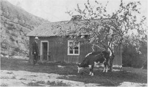Dalsland-ånimskog-tranhalsen.jpg