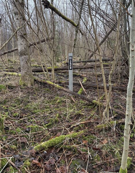 Fil:Dalsland-Ånimskog-Djupslund Västa stugans plats.jpg