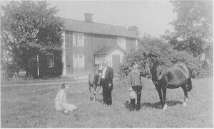 Dalsland-ånimskog-olerud4.jpg