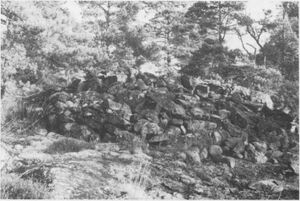 Dalsland-ånimskog-fornlämningar7.jpg
