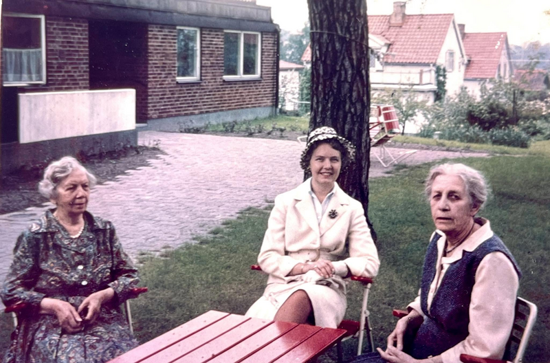 Fil:Dalsland-Ånimskog-Hilma Eliasson.png