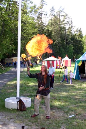 Dalaborg 2006-1.jpg