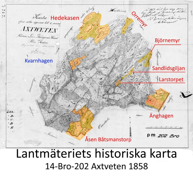 Fil:Axtveten Åsen delar 3.png