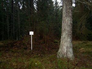 Östergötland-Åsbo-Åbylund-omgivning.jpg