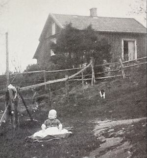 Dalsland-Ånimskog-Ö Berget Nedre Kilane.jpg
