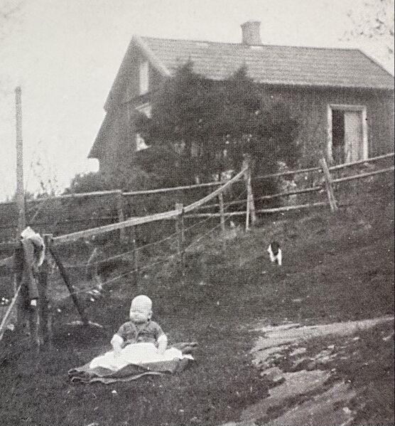 Fil:Dalsland-Ånimskog-Ö Berget Nedre Kilane.jpg