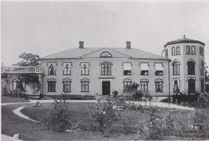 Dalsland-Ånimskog-Henriksholm 1901.png