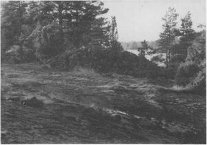 Dalsland-ånimskog-fornlämningar5.jpg