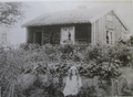 Dalsland-Ånimskog-Mössekasa Astrid Werner
