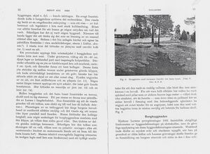 Dalsland-Bolstad-Dalaborg-Hembygden1940-6.jpg