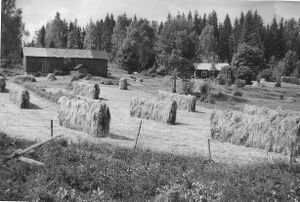 Dalsland-Edsleskog-Stätterud 1957.jpg