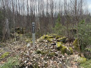 Dalsland-Ånimskog-Bråtekullen.jpg