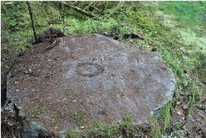 Västergötland-Norra Björke-Gussetäppan 01.JPG