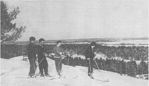Dalsland-ånimskog-kärrsdalen.jpg