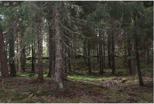 Västergötland-Norra Björke-Grönelund2 01.JPG