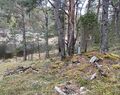 Dalsland-Ånimskog-Holmen Nedre Kilane