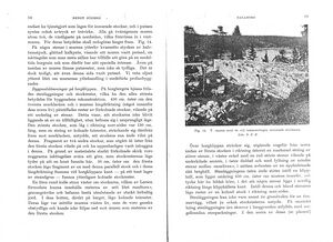 Dalsland-Bolstad-Dalaborg-Hembygden1940-9.jpg